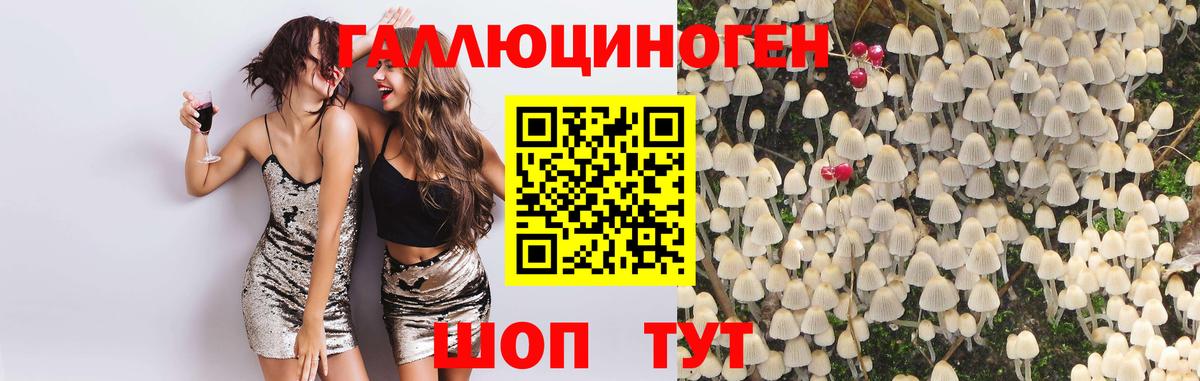 Галлюциногенные грибы GOLDEN TEACHER  Вход с VPN  Урай 