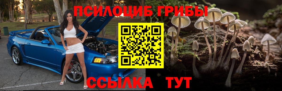 Псилоцибиновые грибы ЛСД Урай